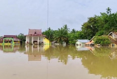 Banjir Susulan Rendam 4.648 KK di Kabupaten Tebo