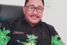 326 Ribu Bibit Sawit Sudah Disalurkan Pemkab Bungo