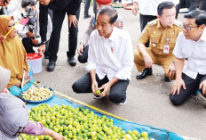 RSUD dan PTM Jadi Atensi Khusus Jokowi saat Kunker ke Bungo