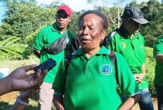 Terjung Langsung Cangkul Lahan, Cari Penghubung Petani Dengan Pemerintah