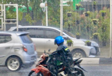 BMKG Prakiraan Cuaca, Hujan dan Berawan Melanda Banyak Kota di Indonesia