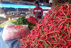 Harga Cabai dan Bawang, Tinggi 