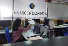Uang Beredar Indonesia Tumbuh Lebih Tinggi pada Mei 2024