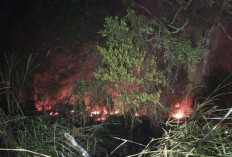 Kebakaran Lahan di Tanjung Johor, Api Baru Dipadamkan Tengah Malam