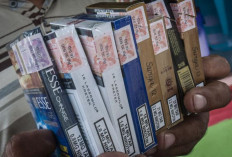 Kenaikan Harga Rokok Dua Kali Lipat Diperlukan untuk Mengurangi Konsumsi