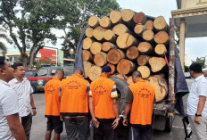 Empat Orang Diamankan Polda Jambi Dalam Kasus Ilegal Logging