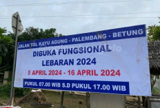 Status Fungsional, Jalur Alternatif Tol Palembang-Betung Cukup Berbahaya Untuk Pemudik