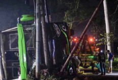 KNKT Turunkan Tim Investigasi Kecelakaan Bus Pariwisata di Ciater