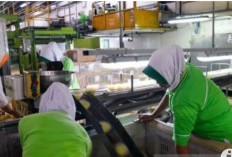 Tingkatkan Industri Manufaktur, Perlu Kejelasan Insentif 