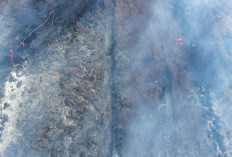 Memasuki Hari Ketiga Karhutla di Muaro Jambi Kian Meluas, Pemadaman Terkendala Sumber Air