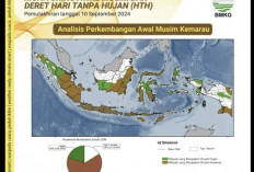 Ini Daftar Tujuh Provinsi di Indone  sia Mengalami Kekeringan Ekstrem Versi BMKG