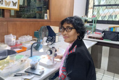 Raih Penghargaan International Conservation Scientist Award Pada 2006