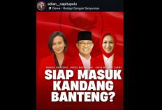 Adian Napitupulu Bantah Unggahan Foto Anies dan Airin Pakai Jas Merah di Media Sosial