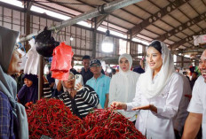 Wakil Menteri Perdagangan pastikan harga bahan pokok stabil di Jambi