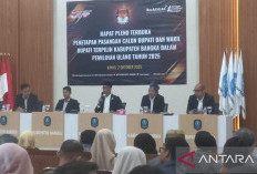 Fery-Syahbudin Ditetapkan Jadi pemenang Pilkada Ulang 