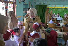 SDN 212 Kekurangan Siswa, PPDB Masih Dibuka Hingga Akhir Juli