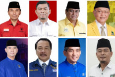 5 Petahana Tumbang, Ini Daftar Wajah Baru Anggota DPR Dapil Jambi Terpilih