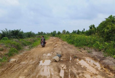 Kondisi Jalan Memprihatinkan, Masyarakat Desa Lumahan Keluhkan Kerusakan Jalan
