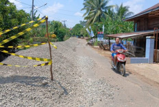 Pengerjaan Jalan Batas Bungo-Dharmasraya Diharapkan Tepat Waktu