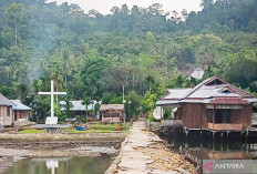 Menjaga Tradisi Sasi Laut Pelindung Bahari