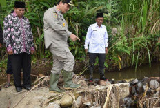 Irigasi Sungai Bemban Ambruk 