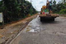 Jalan Nasional Menuju Tungkal Rusak Tak Kunjung Diperbaiki