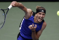 Zverev Juarai Paris Masters