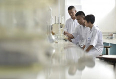 Kemdiktisaintek Soroti Urgensi Pendanaan Riset yang Lebih Terarah