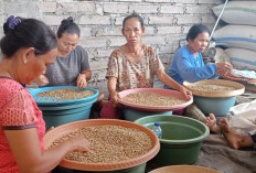 Teknologi Bukan Ancaman, Tetapi Teman Baru 