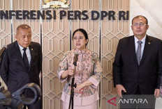 DPR Dukung Presiden Prabowo Tertibkan 1.063 Tambang Ilegal