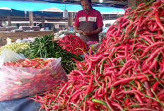 Harga Cabai di Pasar Sengeti Tebus Rp 100 Perkilogram