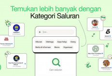 WhatsApp Perkenalkan Fitur Kategori Saluran untuk Memudahkan Pengguna