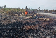 Hujan Deras Guyur Tanjabtim, Kondisi Api di Lokasi Karhutla Padam