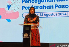 IBI Tekankan Peran Strategis Bidan dalam Pengelolaan Kesehatan Reproduksi Calon Pengantin