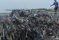 Perkuat Program Penanganan Sampah Plastik Laut, ADB Beri Pinjaman 500 Juta Dolar AS ke Indonesia