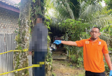 Ditolak Rujuk, Pria di Tebo Bunuh Mantan Istri dan Lalu Gantung Diri di Pohon Cempedak