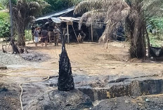 Tiga Pekan Api Kebakaran Sumur Minyak Ilegal di Batanghari Belum Padam