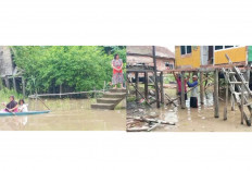 Debit Sungai Batanghari Meluap, Pekarangan Rumah Warga dan Jalan Mulai Tergenang