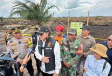 Polda Usut Karhutla di PT AMM, Ditreskrimsus Cek Lokasi Terjadinya Kebakaran