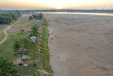 Musim Kemarau, Sungai Batanghari Surut dan Munculkan 'Pantai Aur Duri'