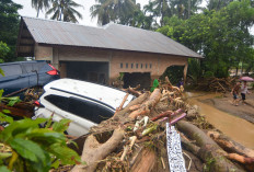 Banjir ‘Kepung’ Sumatera, Akses Jalan Provinsi Terputus dan Presiden Diminta Tetapkan Status Bencana Nasional