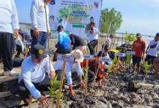 Pemerintah Ajak Masyarakat Tanam Mangrove untuk Pelestarian Lingkungan