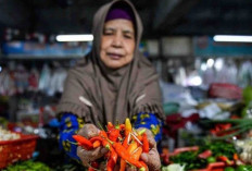 Harga Cabai Rawit Merah Melonjak Signifikan, Capai Rp74.470 per Kg