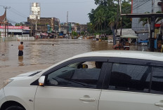Akibat Hujan Deras Guyur Kota Jambi,  Rumah Warga Terendam dan Jalan Protokol Tidak Bisa Dilewati