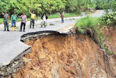 Jalan Kerinci- Bangko Amblas, Pengendara Diminta Ektra hati-hati