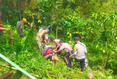 Petani di Merangin Tewas di Kebun, Diduga Kehabisan Darah Akibat Luka Parang