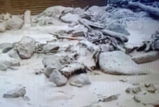 Gempa M4,6 Guncang Agam, Warga Lubuk Basung Berhamburan Keluar Rumah