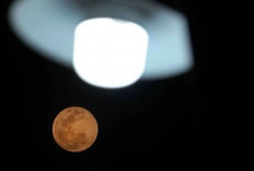 Supermoon Terakhir Tahun 2024 