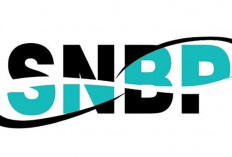 Panitia SNPMB Paparkan Tata Cara Cek Hasil SNBP 2024, Ini Tata Caranya
