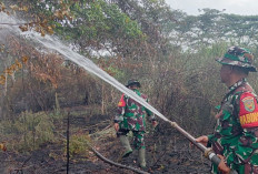 Bertambah Jadi 10 Daerah Rawan Karhutla, Perusahaan Harus Berkontribusi